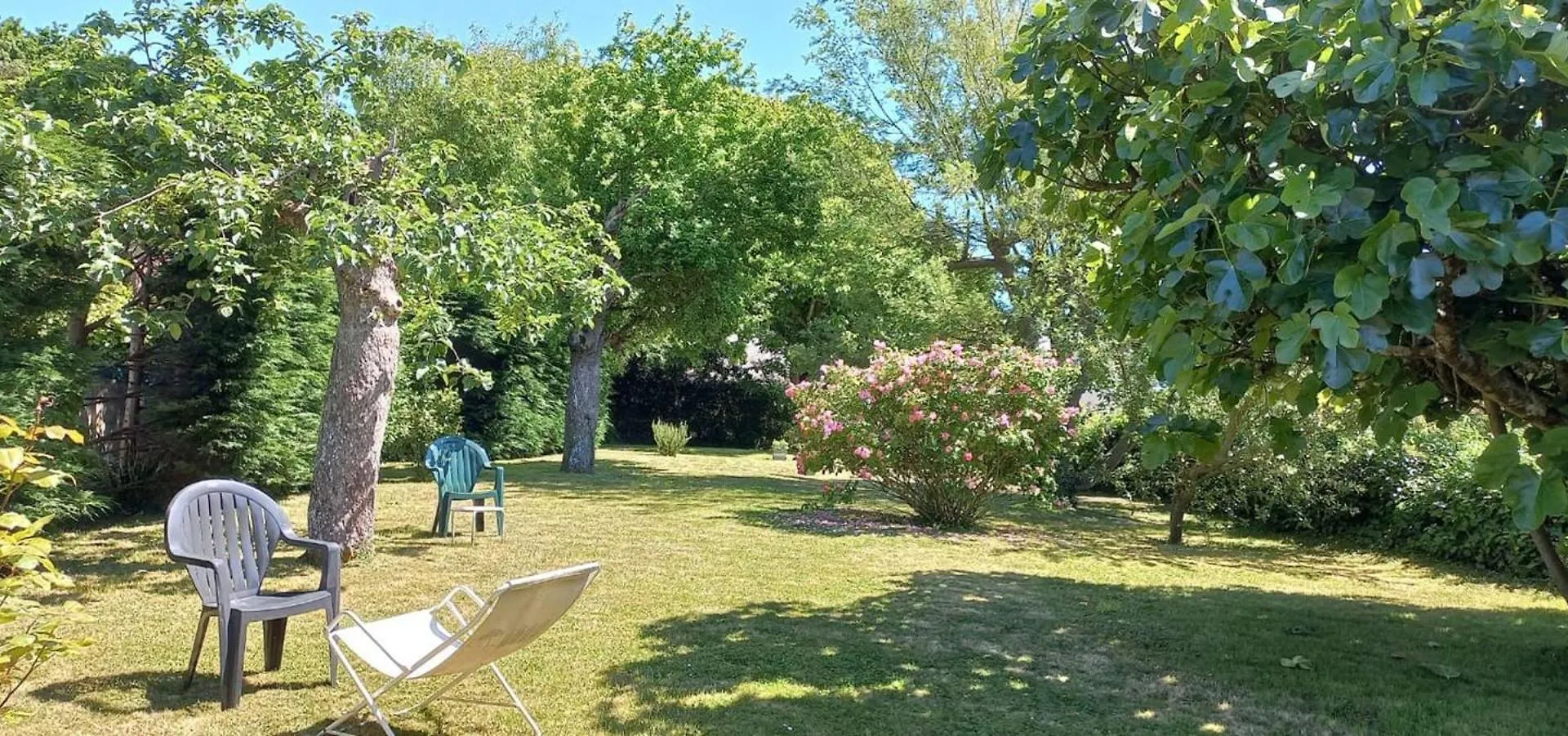 Villa 212 - Maison En Pierre De 5 Chambres Situee Entre Les Stations Balneaires D'Erquy Et De Frehel Plurien